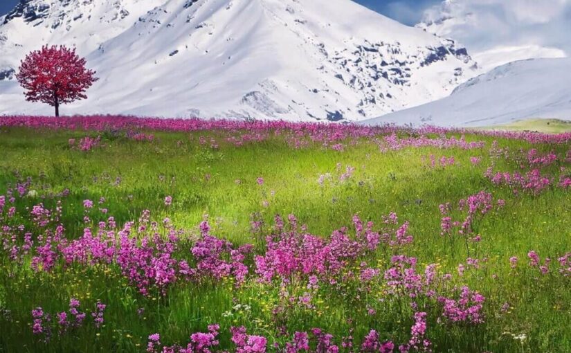 sadasdasdsadasdasssss